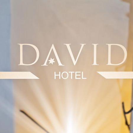 Hotel David An Der Donau Ratisbonne Extérieur photo